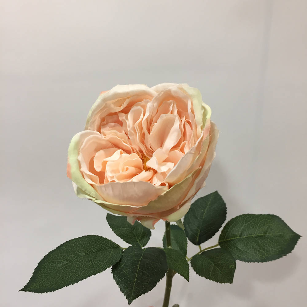 Роза пионовидная персиковая искусственная