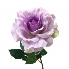Роза фиолетовая