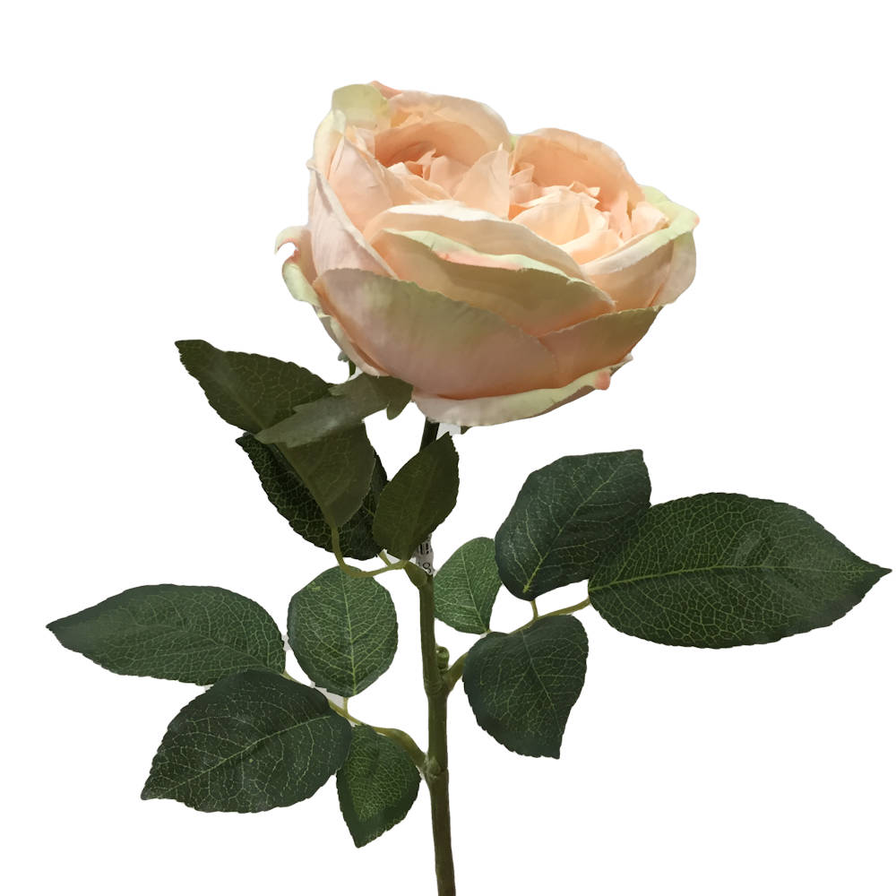 Роза пионовидная персиковая искусственная
